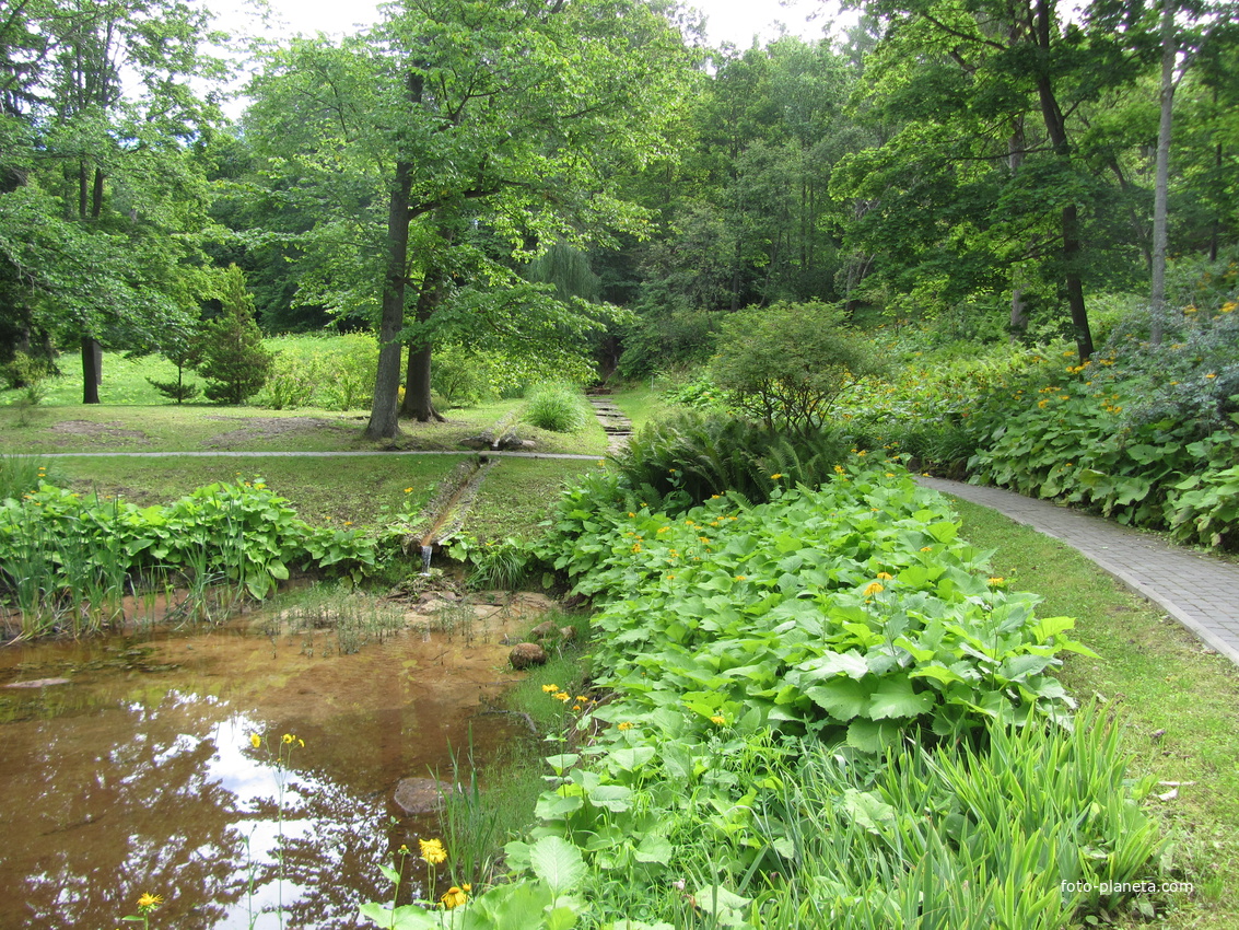 Тойла, Ору-парк. Дендрарий