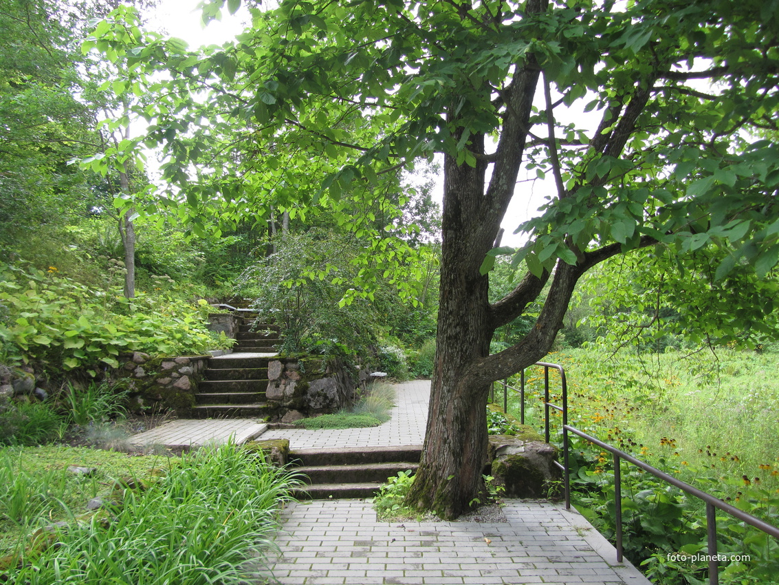 Тойла, Ору-парк. Дендрарий