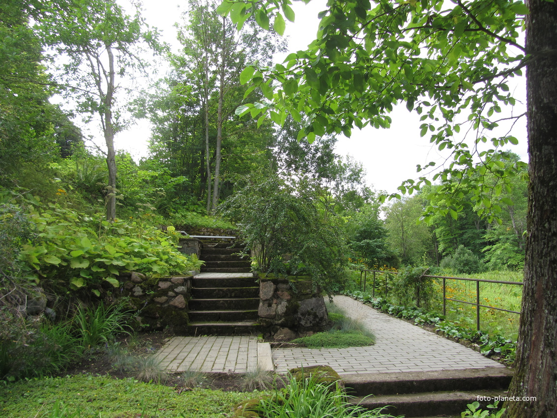 Тойла, Ору-парк. Дендрарий