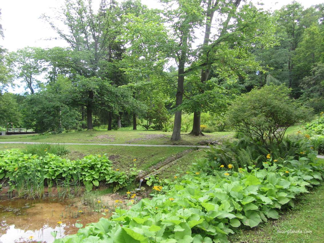Тойла, Ору-парк. Дендрарий