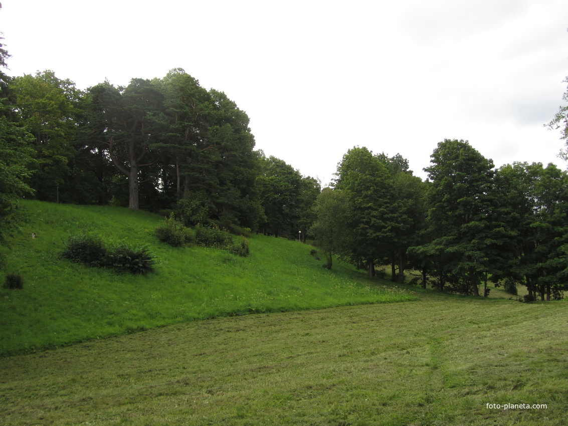 Тойла, Ору-парк. Дендрарий