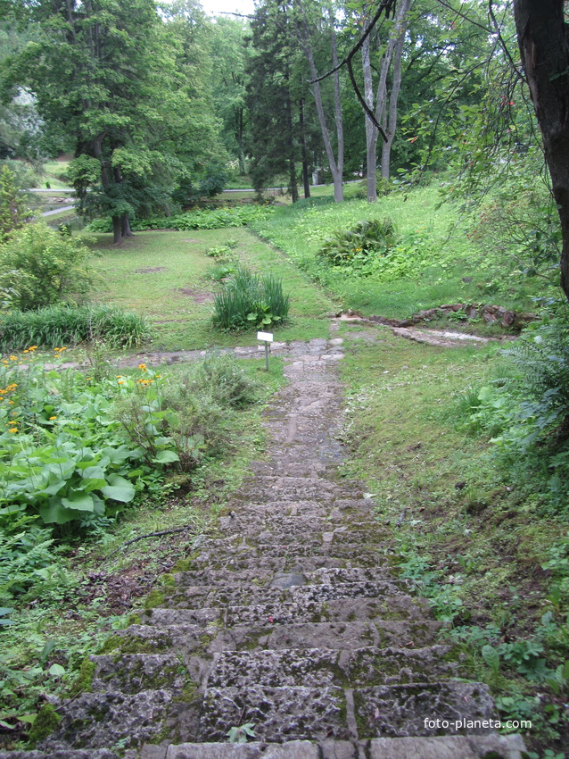 Тойла, Ору-парк. Пруды и ржавый источник