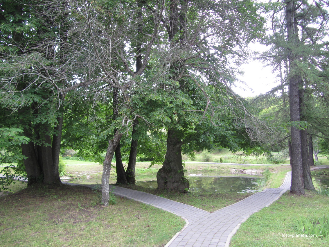 Тойла, Ору-парк. Дендрарий