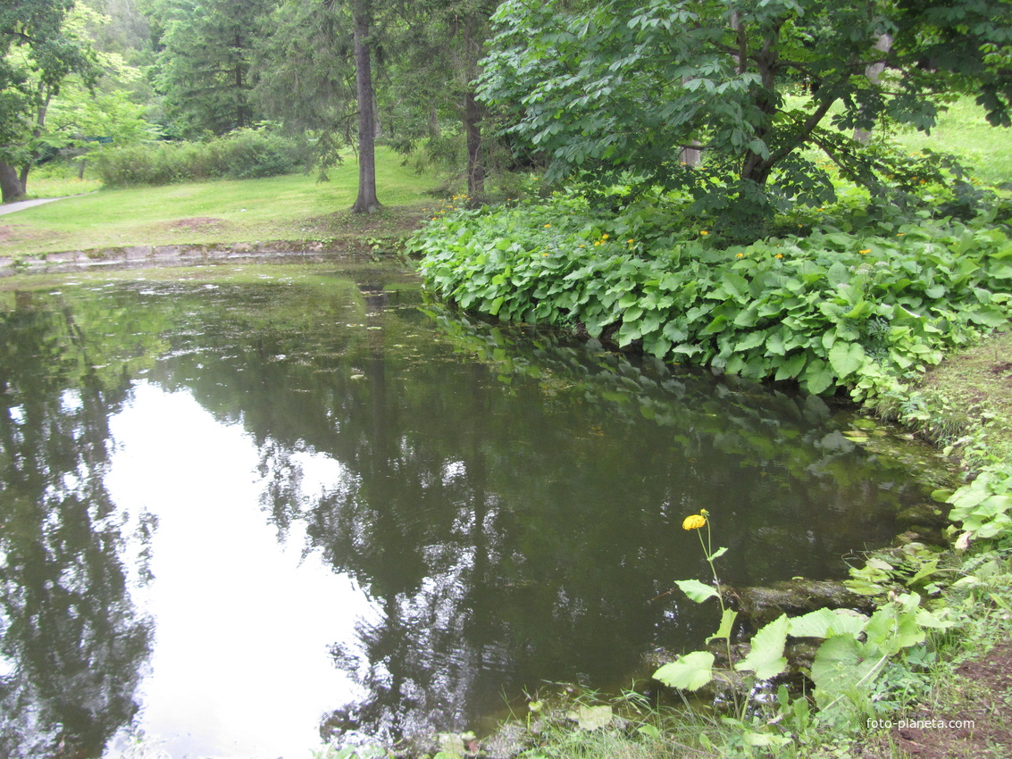Тойла, Ору-парк. Пруды и ржавый источник
