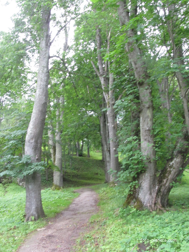 Тойла, Ору-парк. Дендрарий