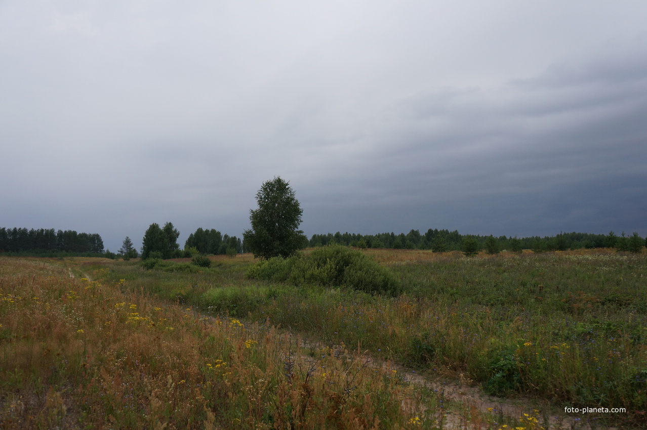 Природа Нарышкино