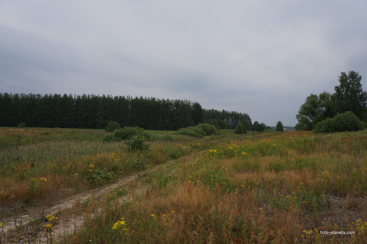 Природа Нарышкино