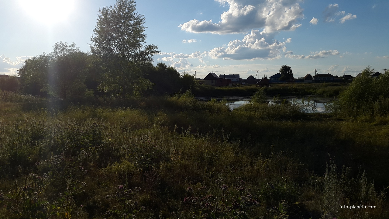 Луг возле платины