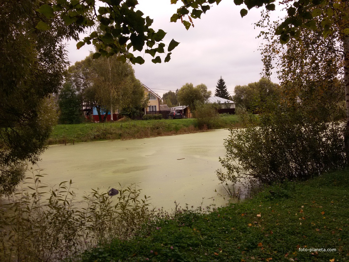 Мелихово, пруд