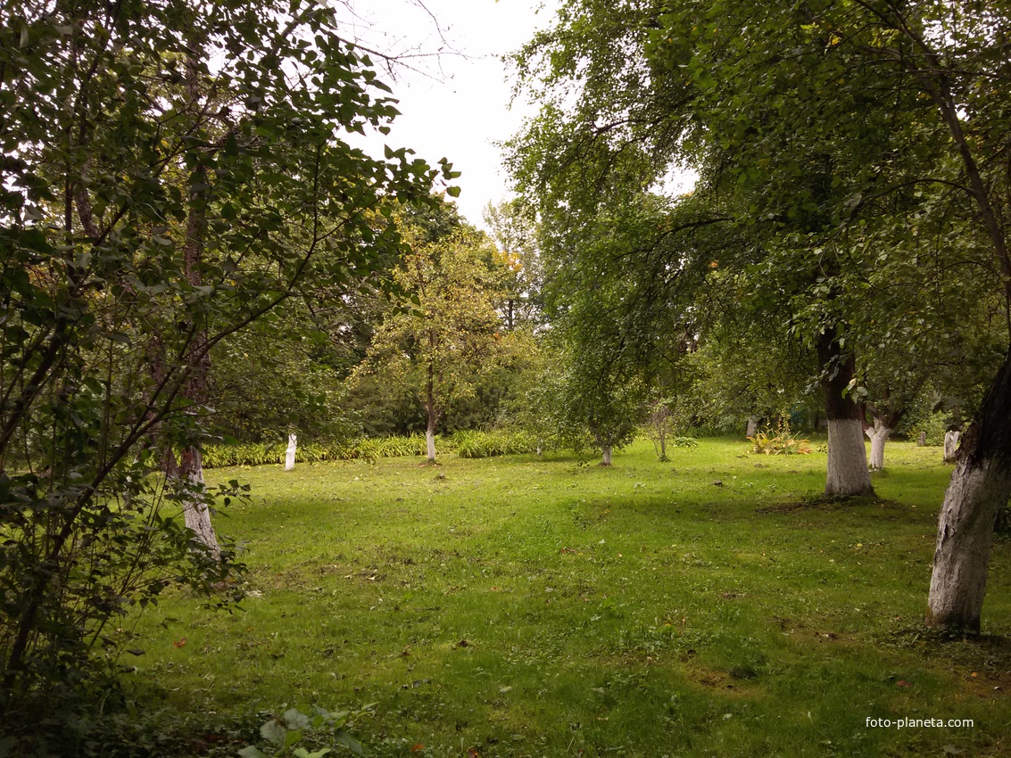 Музей А.П.Чехова