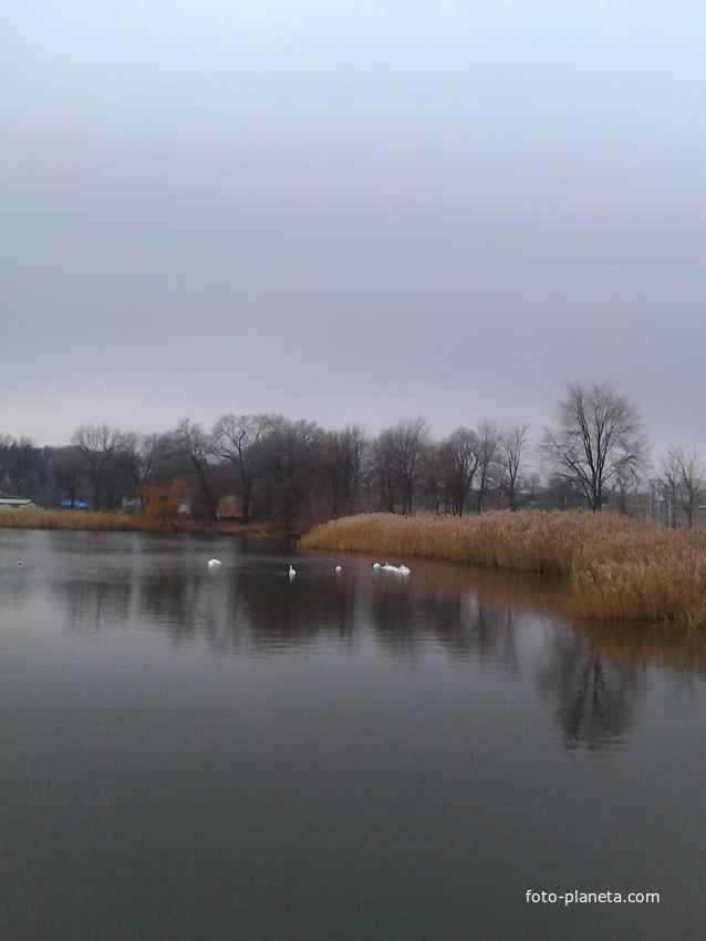 Шофрынканы.