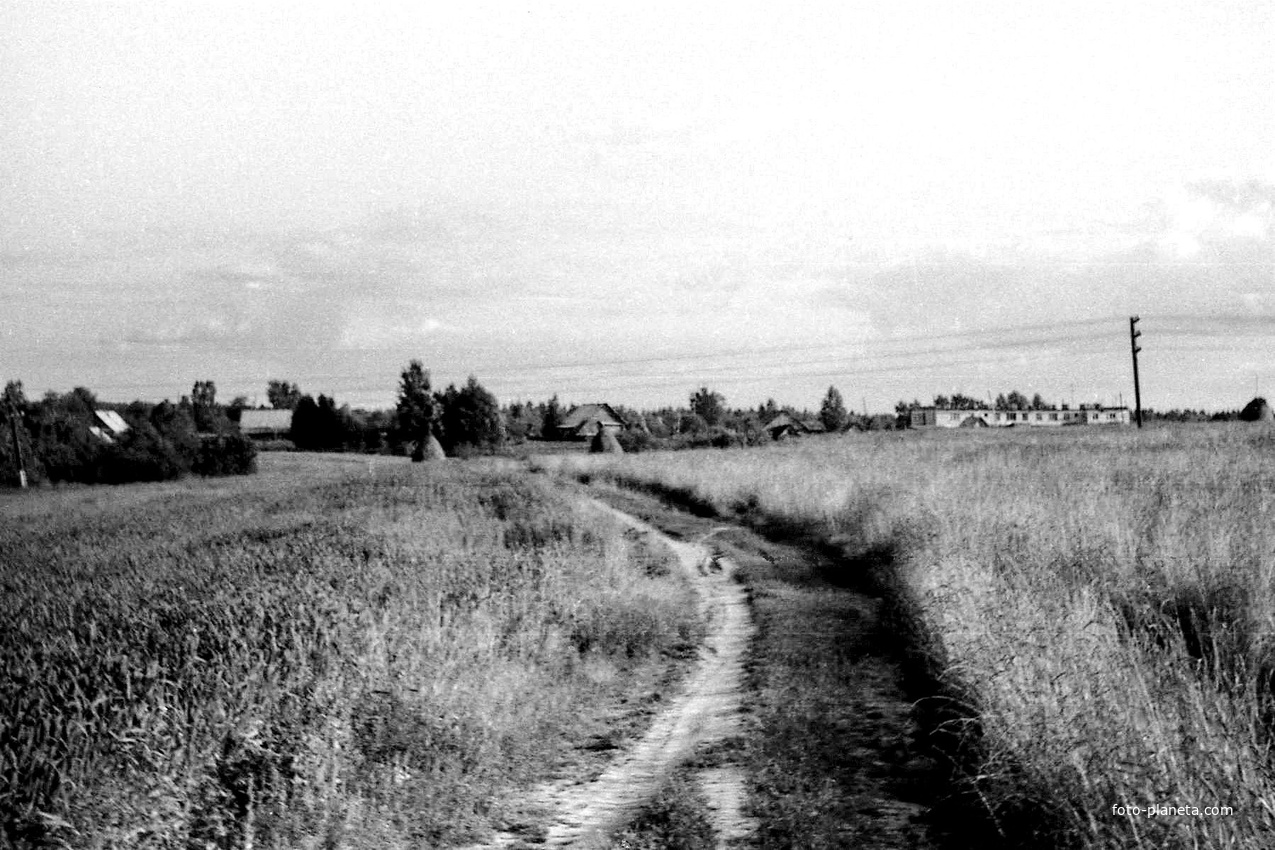 1988г. Дорога с Колпака в деревню.