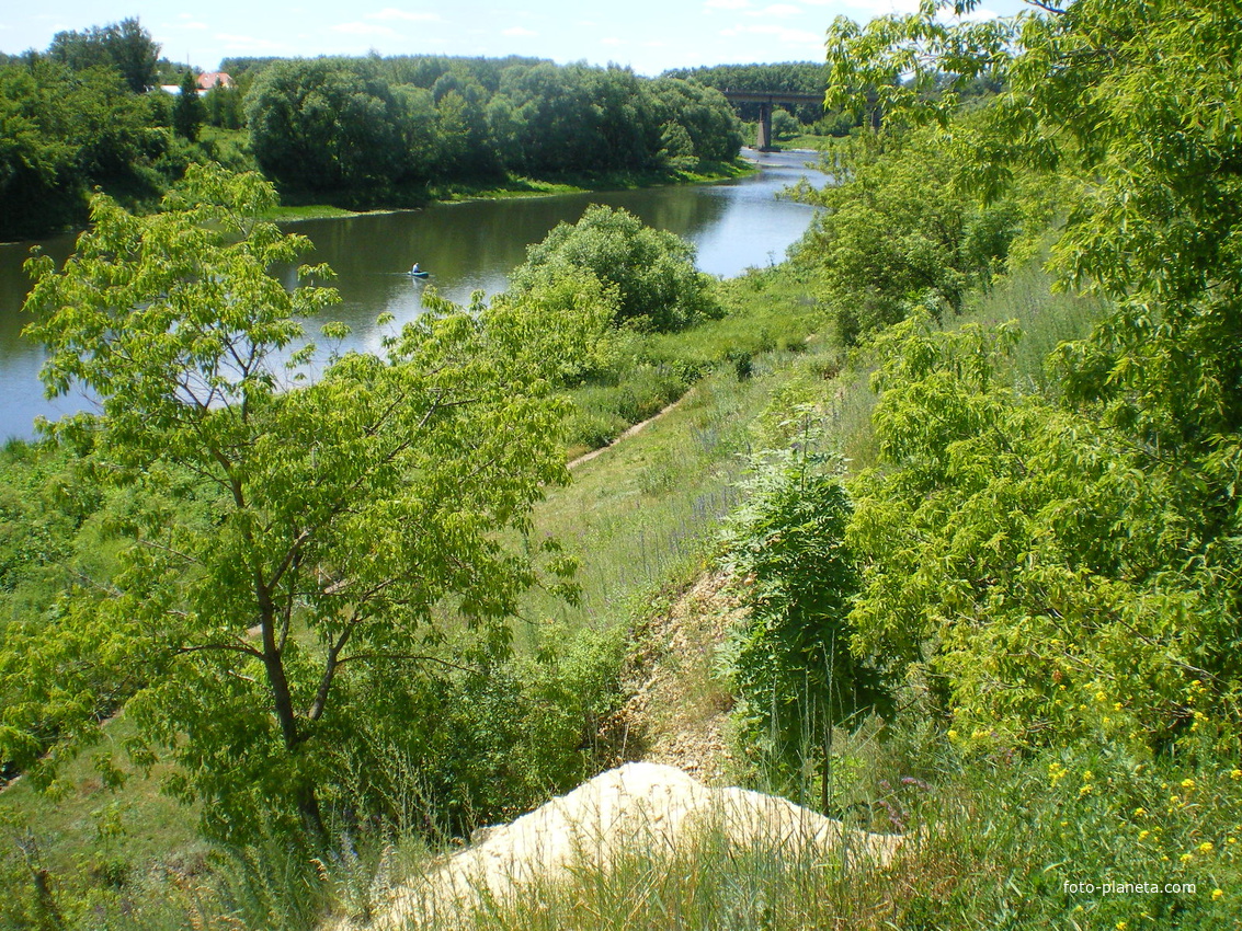 Река Быстрая Сосна. Вид из парка.