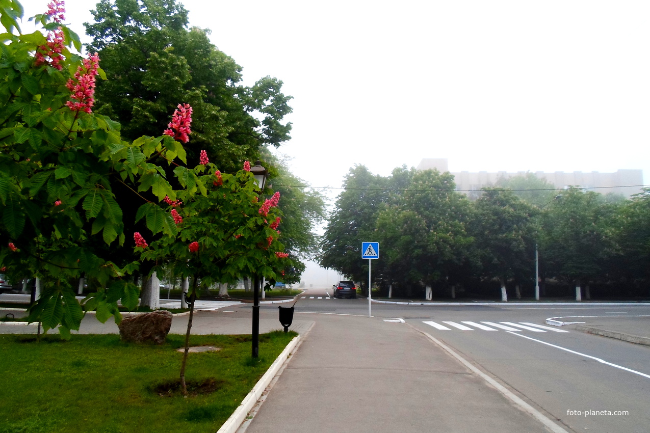 город Измаил, проспект Мира