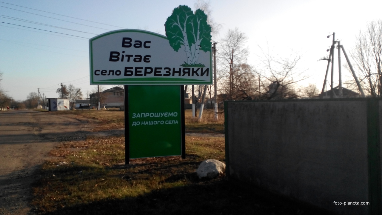 Село Березняки