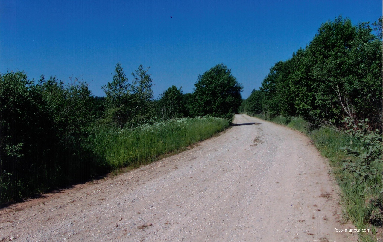 дорога из Лутовёнки  в  Падбережье, июнь 2006 года.