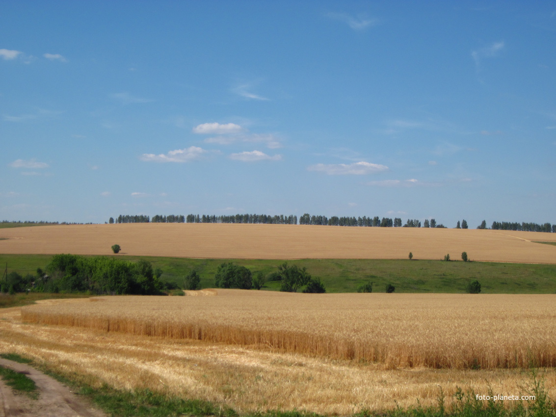Село Сарлей,урожай 2010