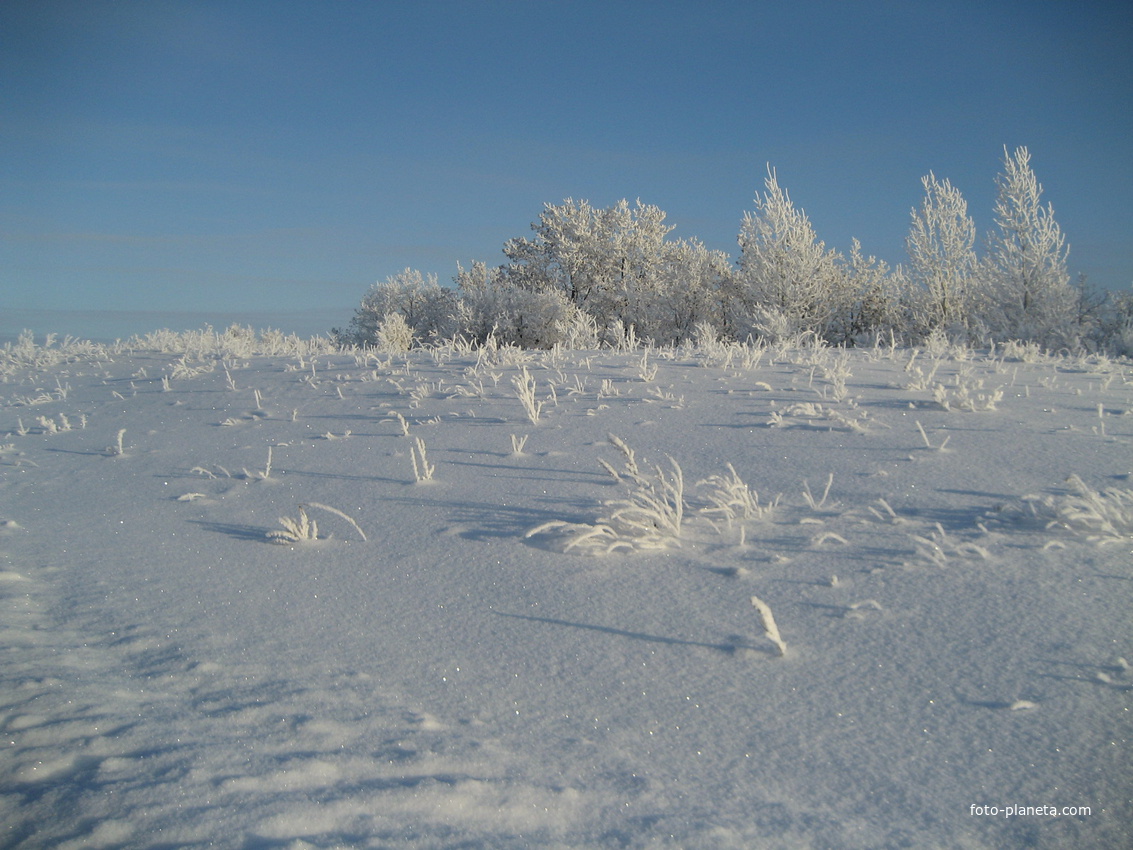Окрестности Алтаево