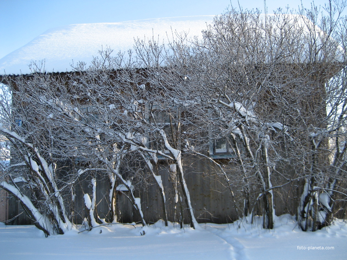 Улица Мира, 62