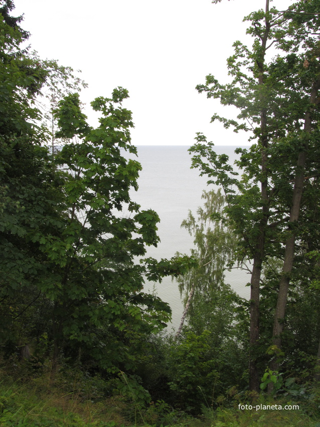 Тойла. Ору-парк. Вид с павильона Ведьминого леса