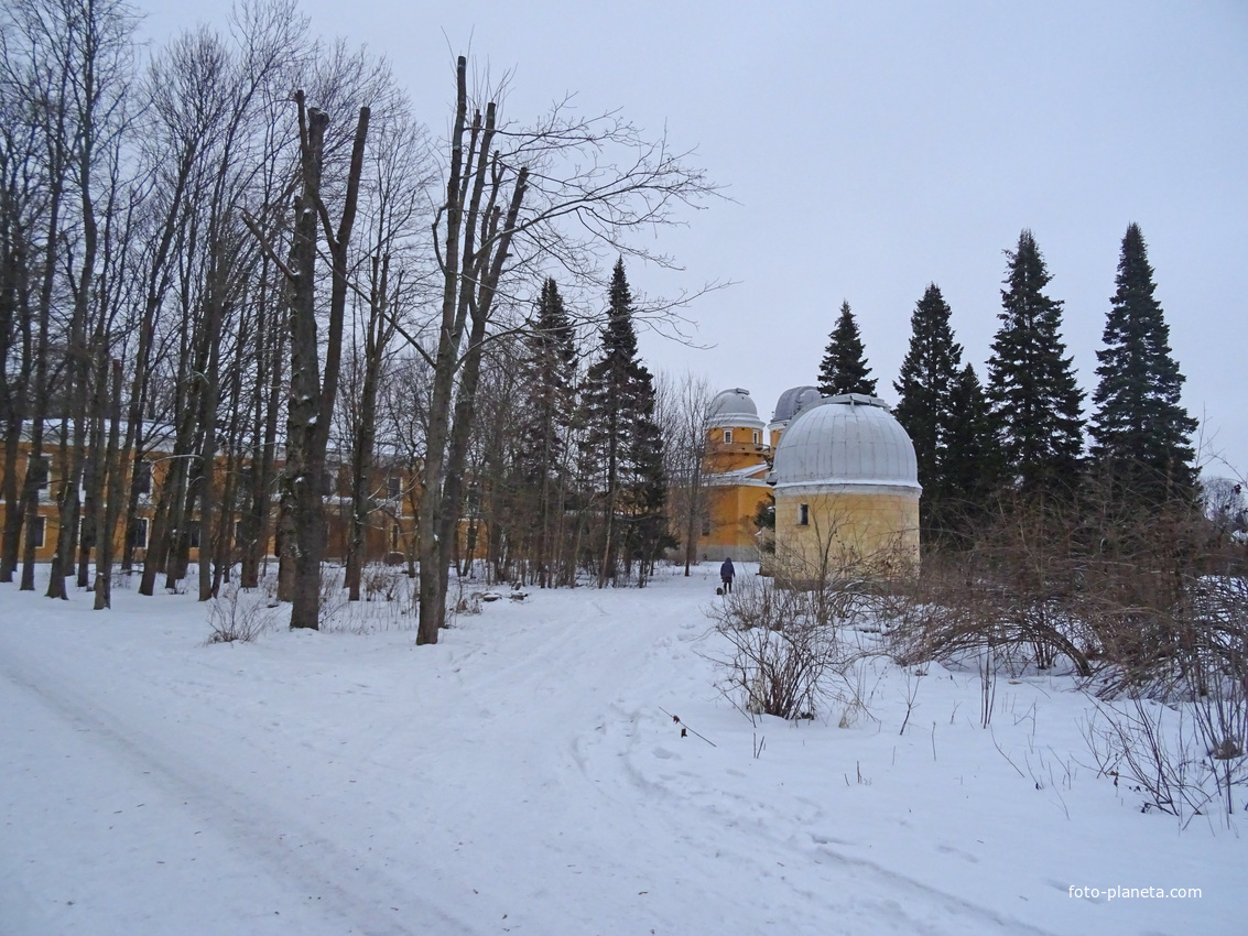 Территория обсерватории
