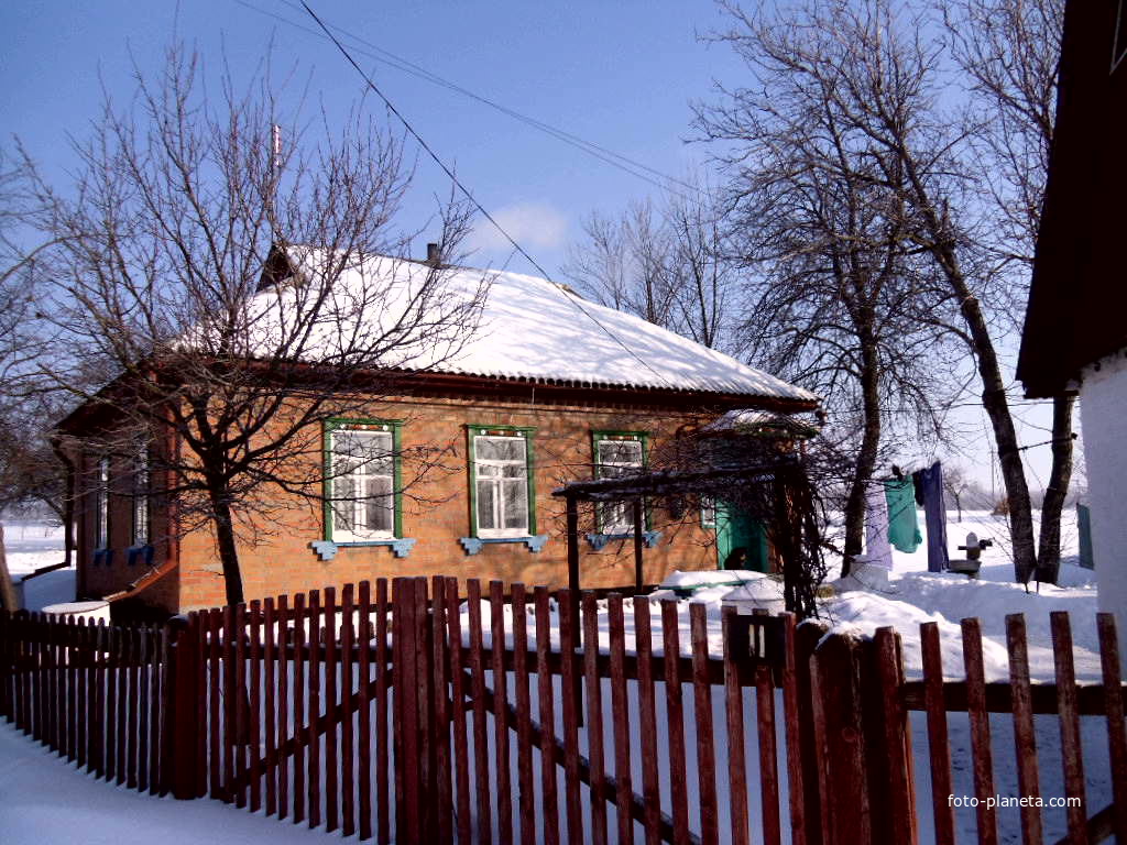 Масликівка ,зима 2015/16.