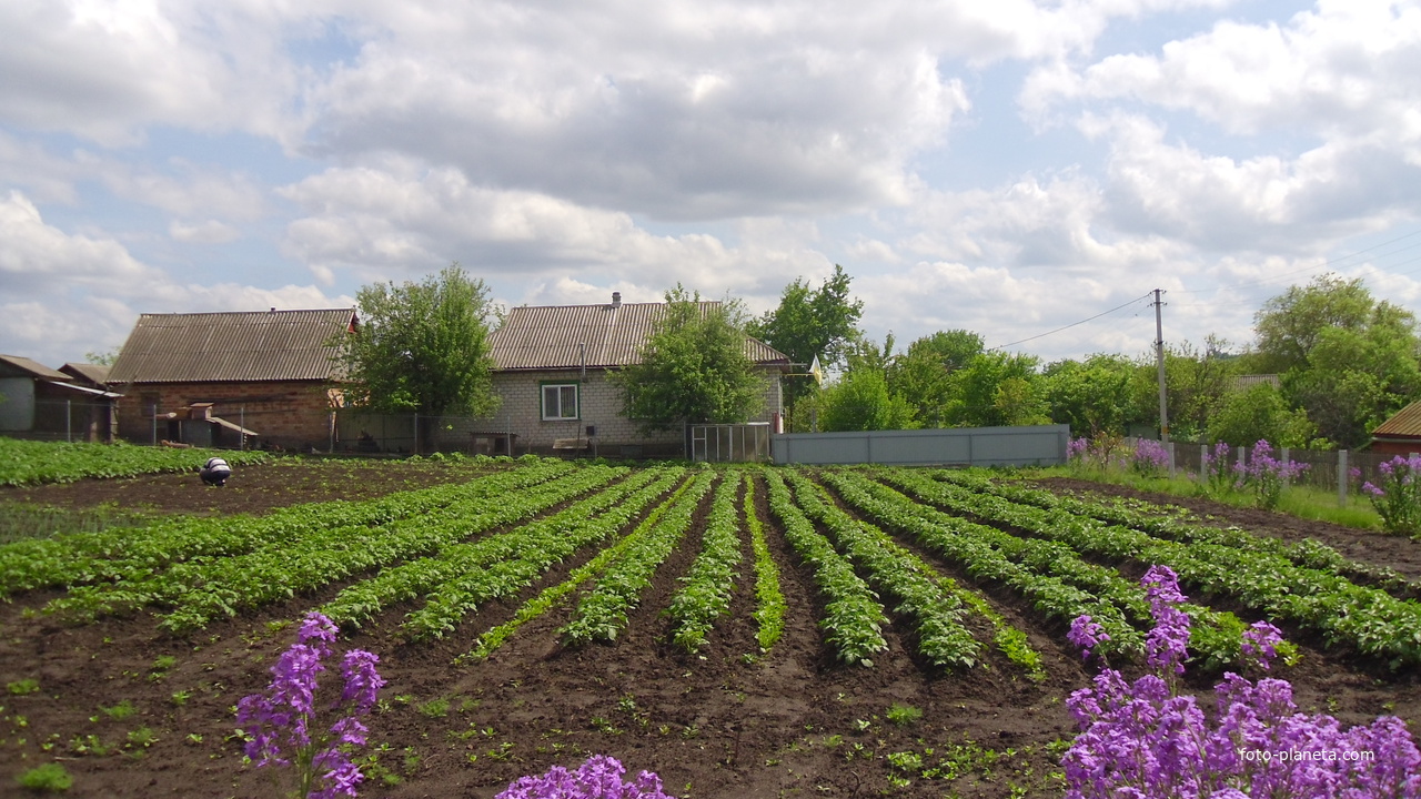 Ревівка,вулиця Масликівська.