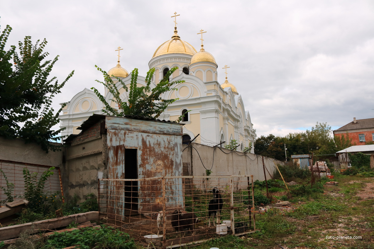 Никитский монастырь кашира. Никитинский монастырь в Кашире. Каширский Никитский монастырь женский монастырь. Александровский Никитский монастырь в Кашире.