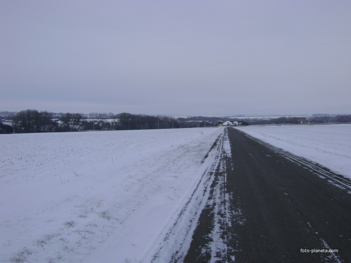 Зимняя дорога в Шевцов.