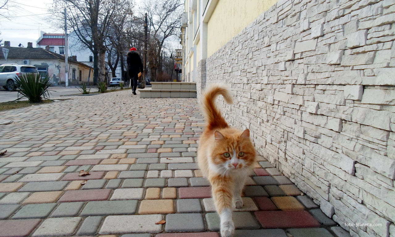 город Измаил, улица Тульчиановская ...