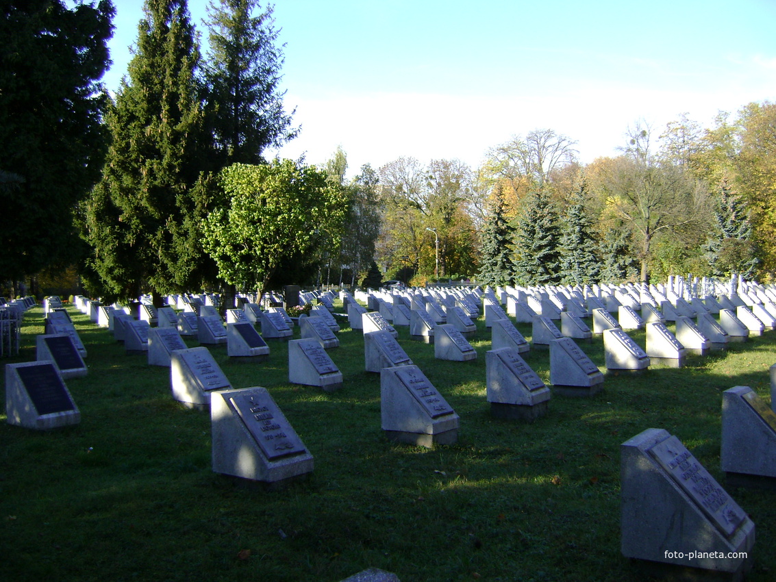 Військове кладовище.
