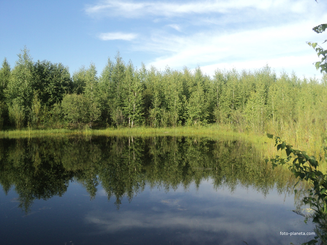 Природа с.Нижний Кокуй Балейского района