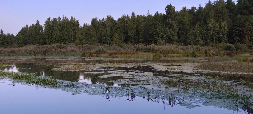 В СУМЕРКАХ. Р. ВЬЮНГИЩА