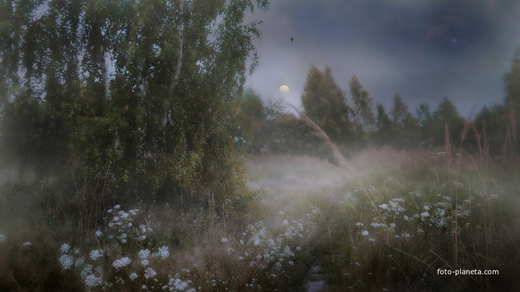 ЗА Д. ЖУКОВО