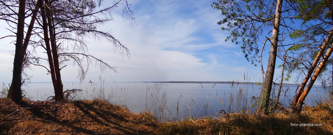 река Унжа  (  в близи села Пелегово )