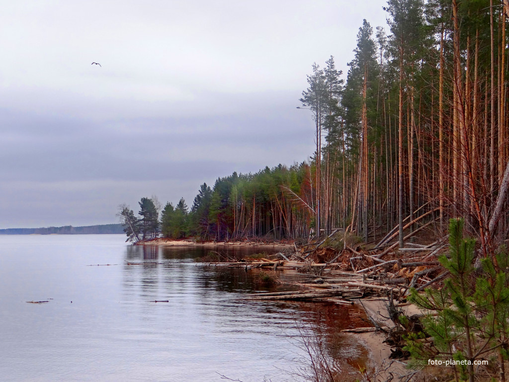 Горьковское море.  (  в близи села Пелегово )