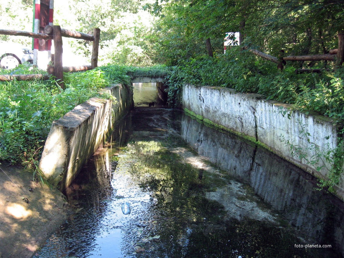 Колодежное