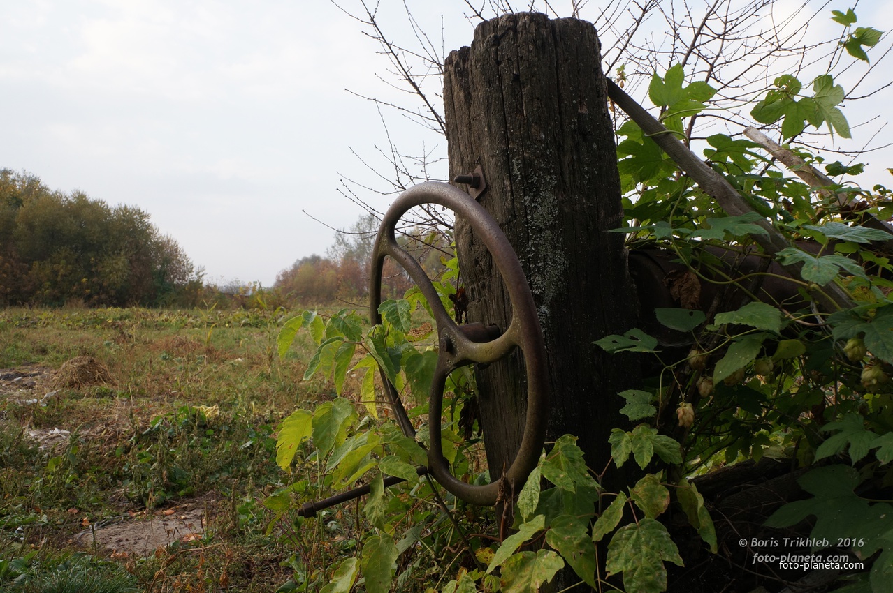 Старый колодец