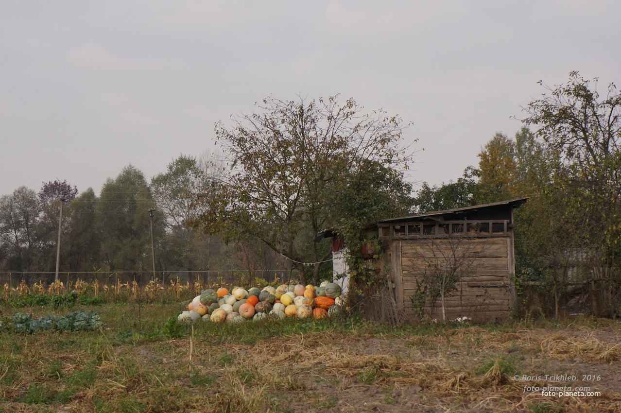 Михайловка