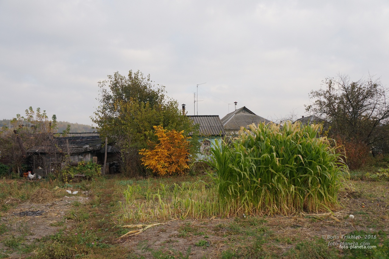 Михайловка