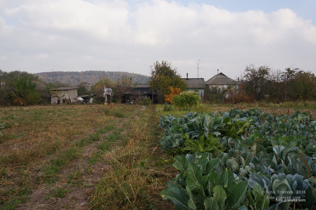 Михайловка