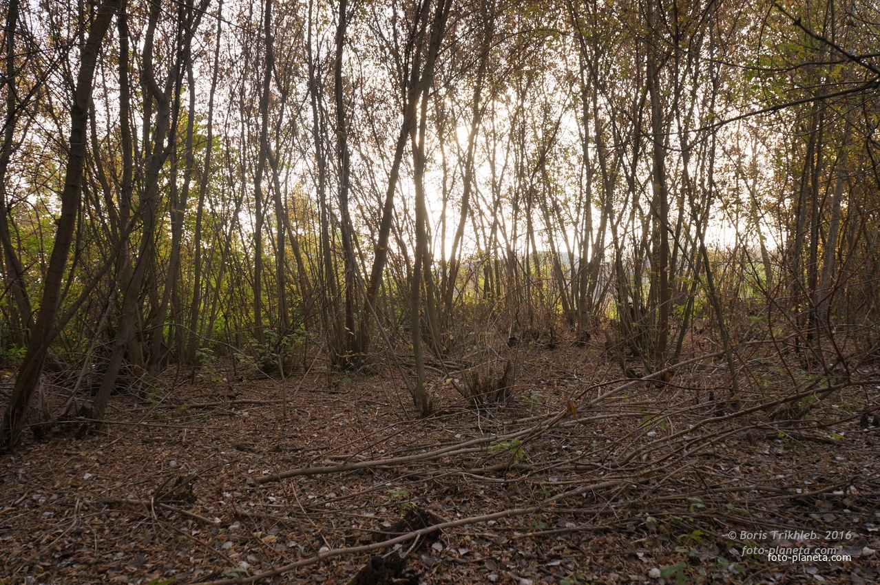 Михайловка