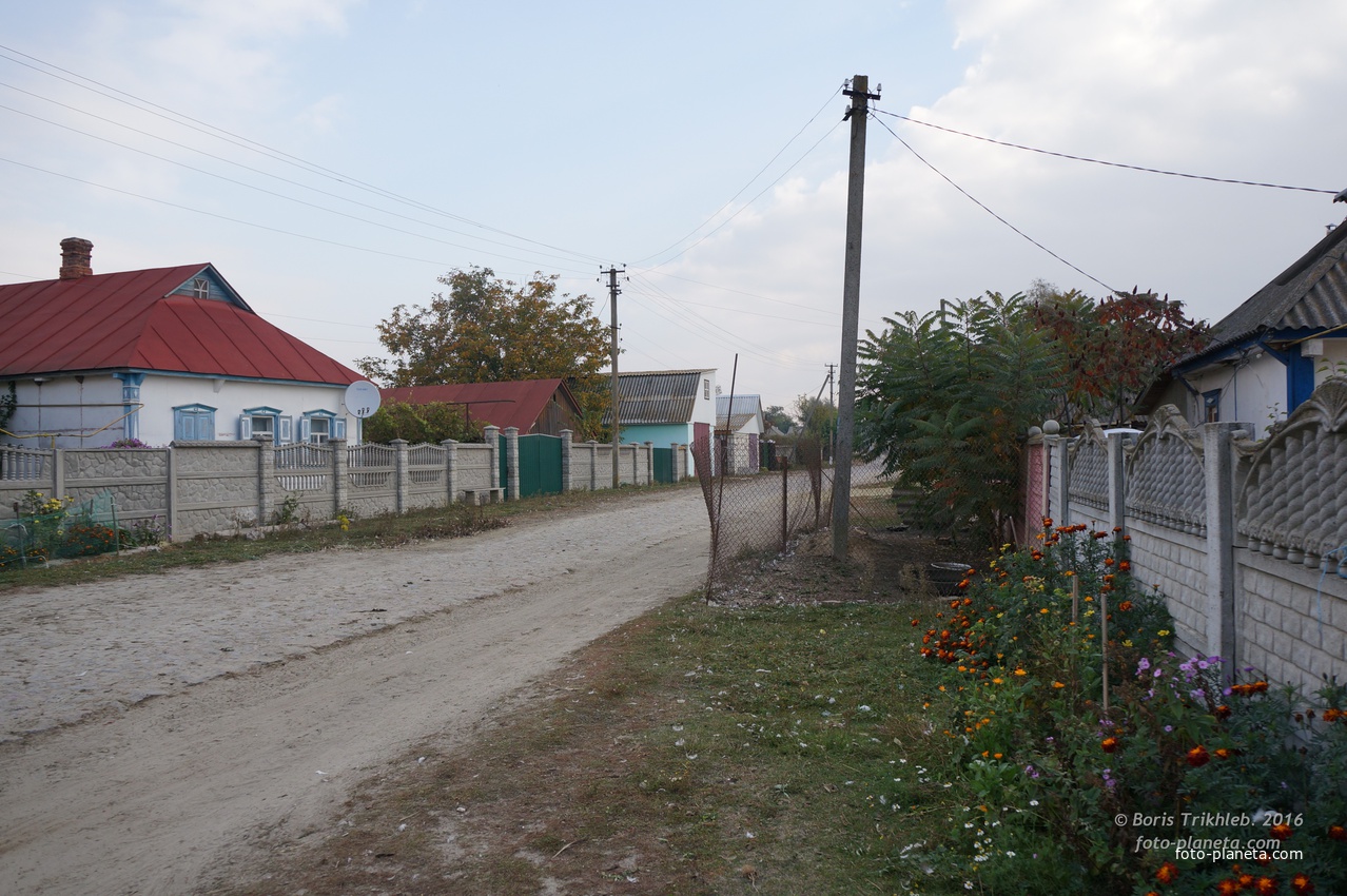 Луговая улица