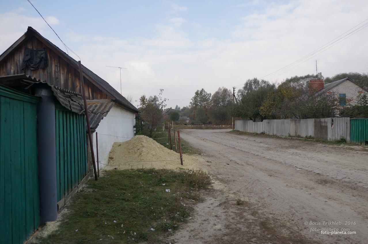 Луговая улица