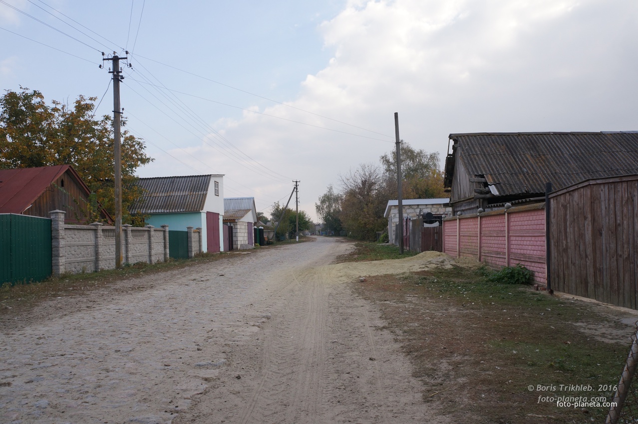 Луговая улица