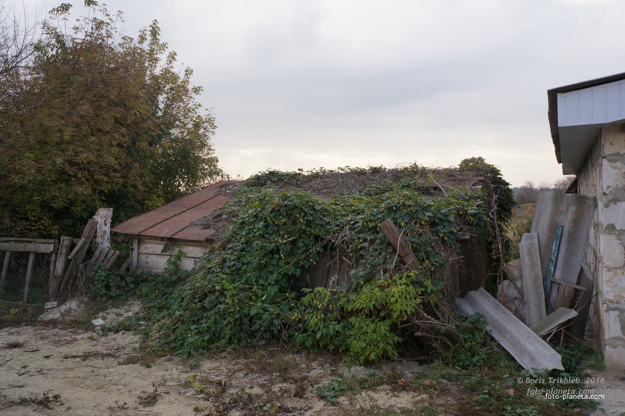 Луговая улица