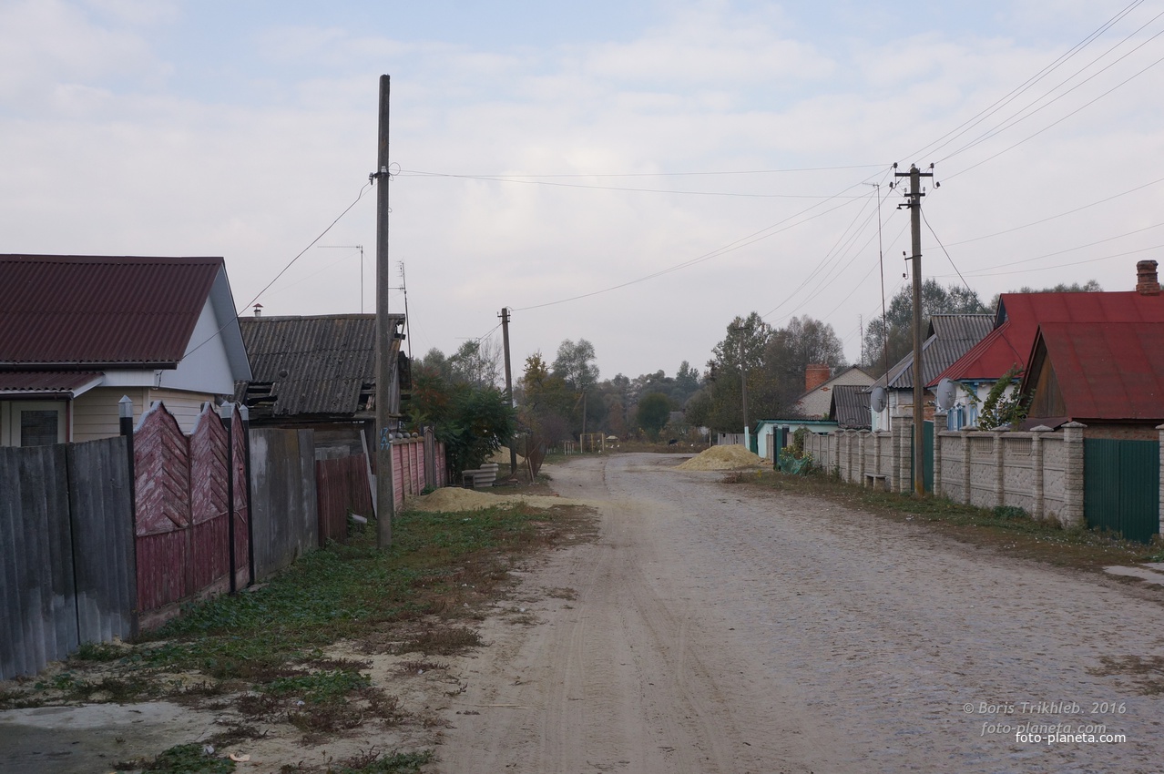 Луговая улица