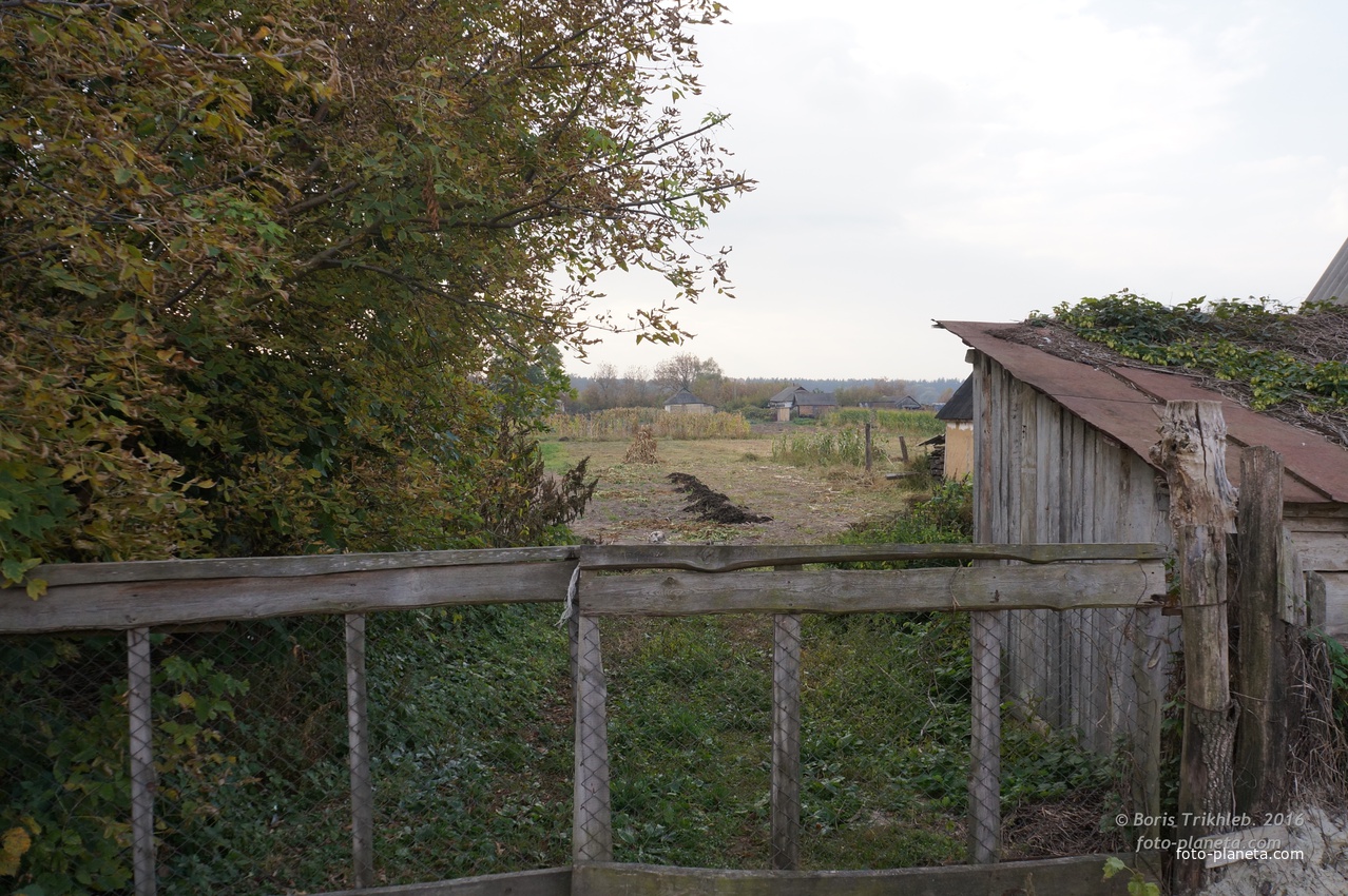 Луговая улица