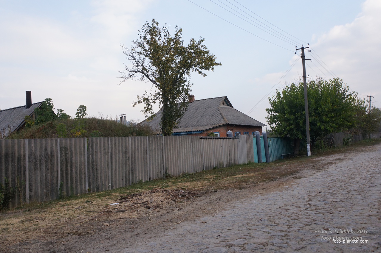 Луговая улица