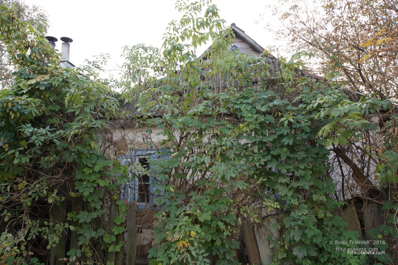 Луговая улица